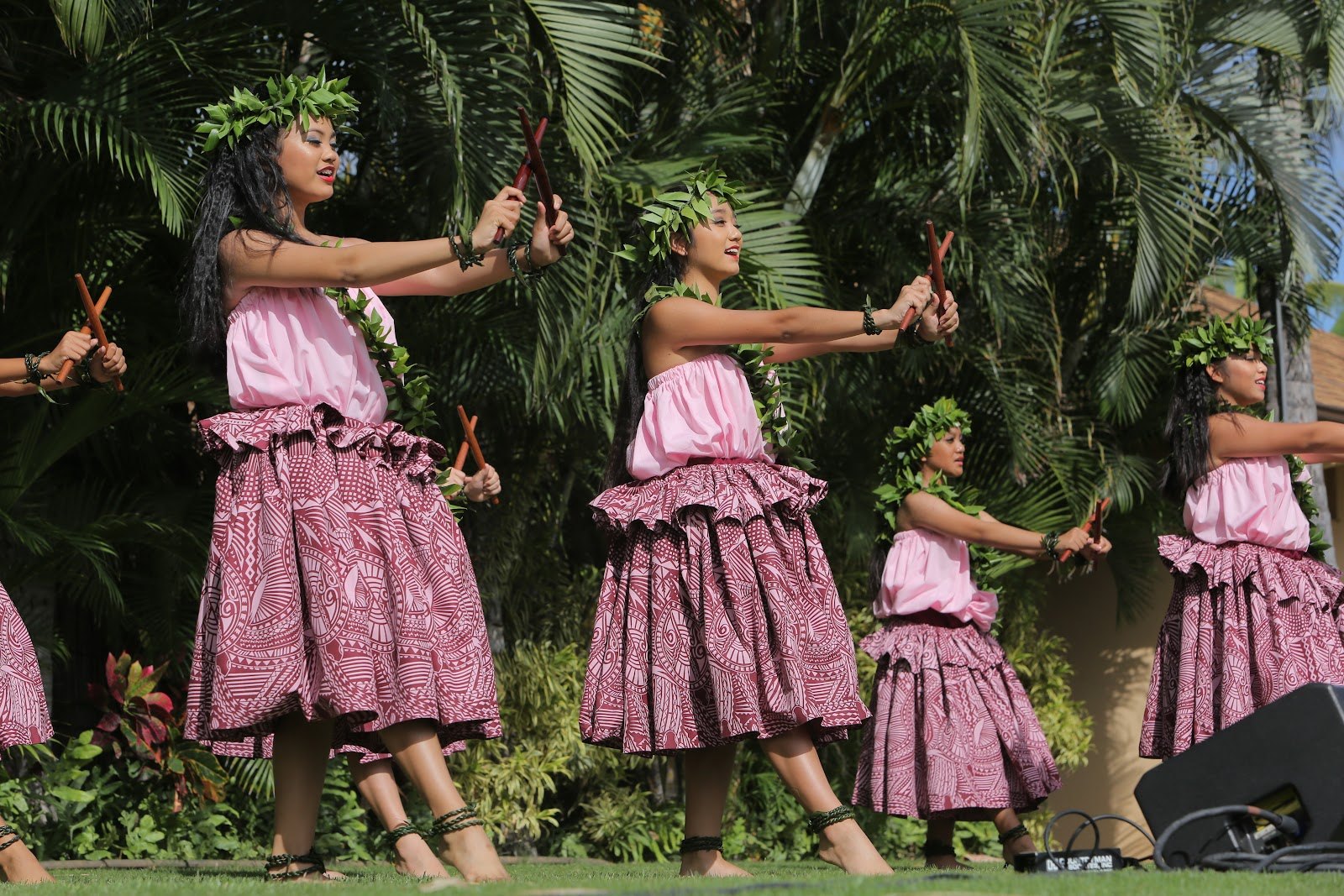 PDD hula dancers performing